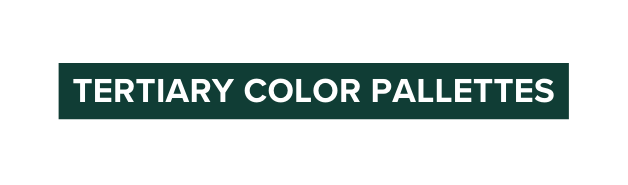 TERTIARY COLOR PALLETTES