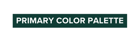 PRIMARY COLOR PALETTE
